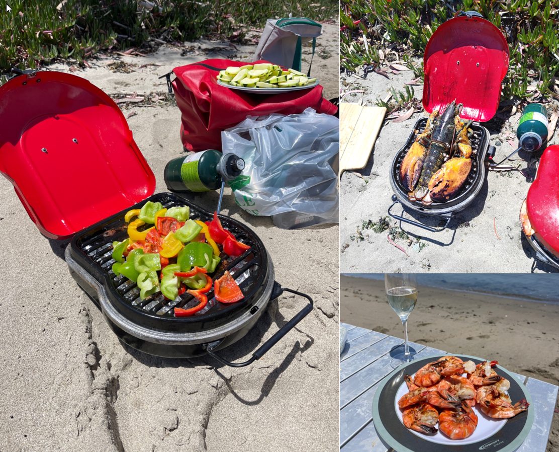 Beach picnic on Angel Island: grilled vegetables, lobster and prawns